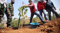 Optimalisasi Penghijauan, Pemkot Bandung Tanam Ratusan Pohon Produktif