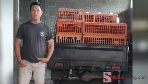 Bisnis Ayam Potong Terdampak Covid-19, Pria ini Siasati dengan Unit Usaha Lain