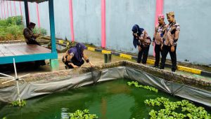 Tingkatkan Produktivitas, Lapas Muara Enim Optimalkan Lahan menjadi Perkebunan dan Perikanan