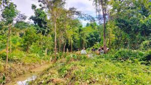 Pemdes Dukung Keinginan Masyarakat Jadikan Desa Pelajau Sebagai Wisata Air, SMSI Banyuasin Siap Bersinergi