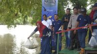 Peringati Hari Ulang Tahun (HUT) ke-42, Bukit Asam Tebar 11.000 Benih Ikan di Sungai Enim