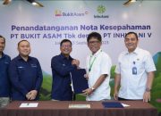 Bukit Asam (PTBA) Gandeng Inhutani V untuk Reklamasi hingga Pengelolaan Hutan