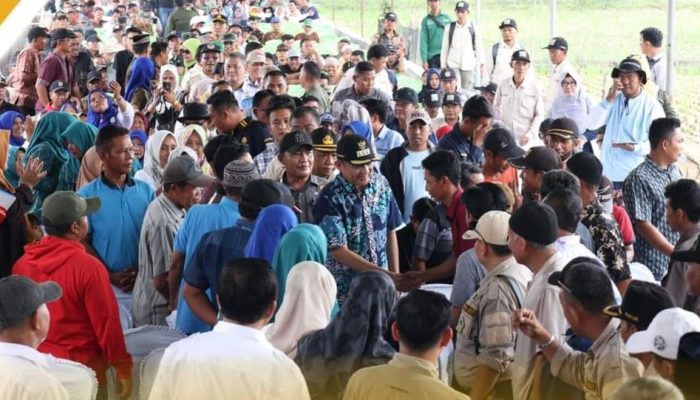 Acara Panen Raya Diduga Digunakan Oleh Petahana dan Kepala Dinas Untuk Berkampanye