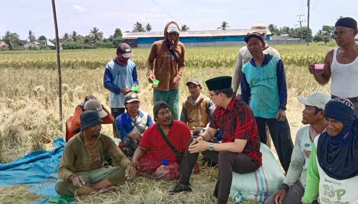 Petani Desa Tanjung Mas Sampaikan Keluhan ke Cabup Fery, Siap Atasi Kelangkaan Pupuk dan Tingkatkan Keamanan