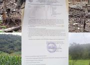 Dituding Membiarkan Perambah Hutan, UPTD KPH Matim Beri Penjelasan, namun Kades Membisu! 