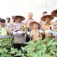 Polres OKUT Gelar Panen Perdana di Polsek Buay Madang