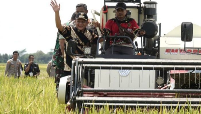 Bupati OKUT Panen Raya Padi Serantak Luas Lahan 2,5 Hektar, Percepatan Swasembada Pangan Nasional
