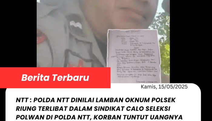Polda NTT Dinilai Lamban Oknum Polsek Riung Terlibat Dalam Sindikat Calo Seleksi Polwan di Polda NTT, Korban Tuntut Uangnya Dikembalikan!