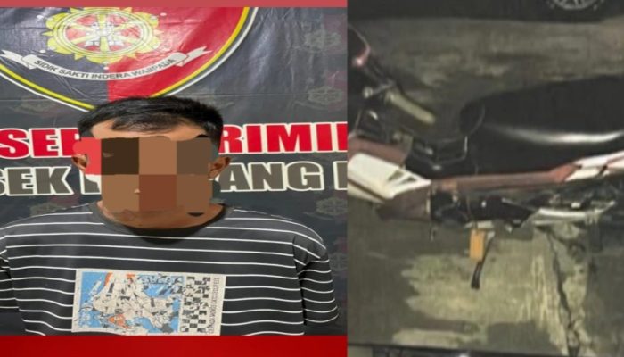 Tim Gabungan Polres OKU Timur Ringkus DPO Curas