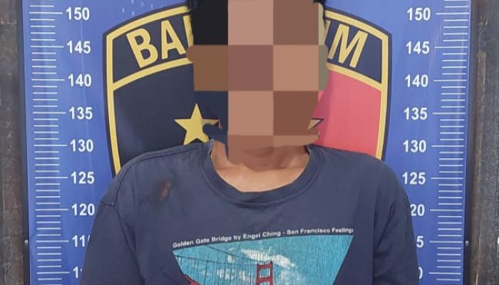 Lari ke Kota Kayu Agung OKI, DPO Curas di OKU Timur berhasil Diringkus Polsek Madang Suku II