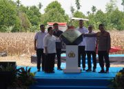 Kapolri, Ketua Komisi IV DPR RI, Menko Bidang Pangan Nasional dan Direktur Utama Bulog Gelar Panen Raya Jagung Serentak Kuartal III di Desa Negeri Ratu OKU Timur