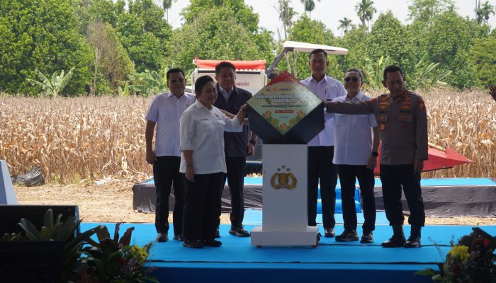 Kapolri, Ketua Komisi IV DPR RI, Menko Bidang Pangan Nasional dan Direktur Utama Bulog Gelar Panen Raya Jagung Serentak Kuartal III di Desa Negeri Ratu OKU Timur